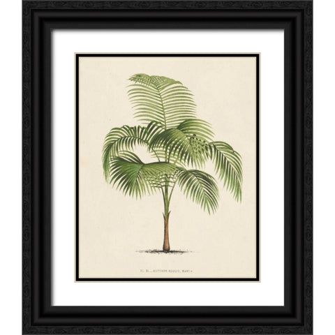 Les Palmiers I Black Ornate Wood Framed Art Print with Double Matting by Unknown