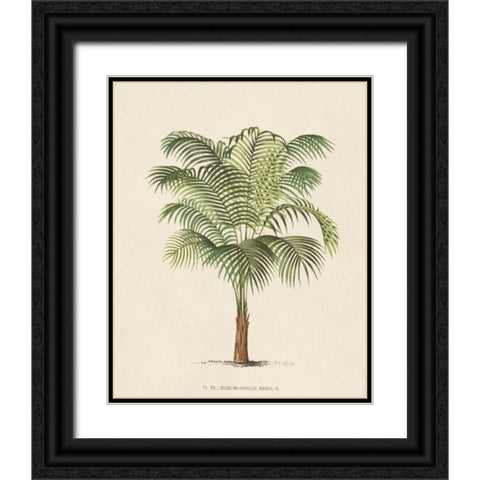 Les Palmiers II Black Ornate Wood Framed Art Print with Double Matting by Unknown