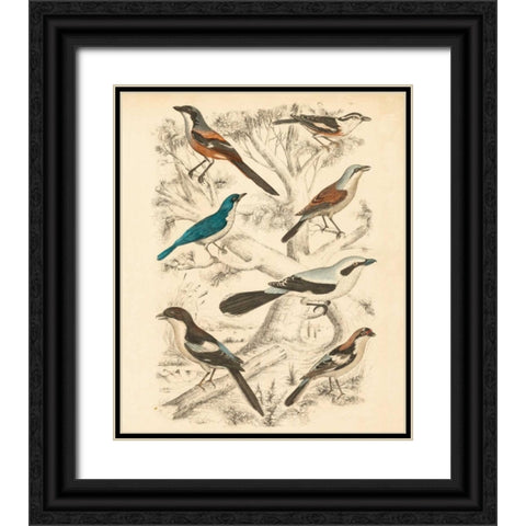Avian Habitat V Black Ornate Wood Framed Art Print with Double Matting by Milne
