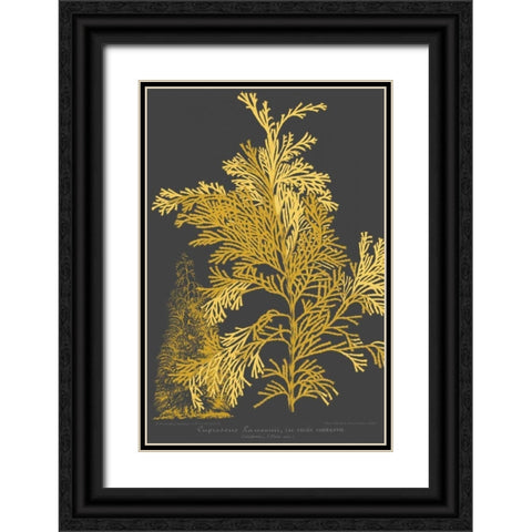 Trees and Leaves I Black Ornate Wood Framed Art Print with Double Matting by Vision Studio