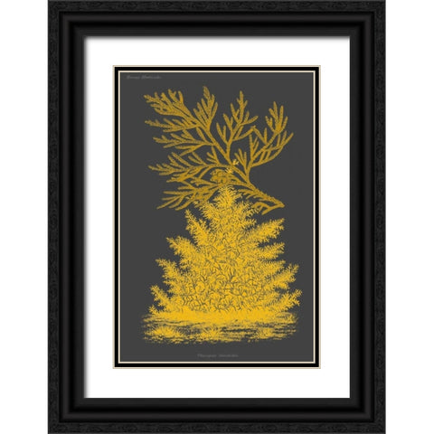 Trees and Leaves II Black Ornate Wood Framed Art Print with Double Matting by Vision Studio