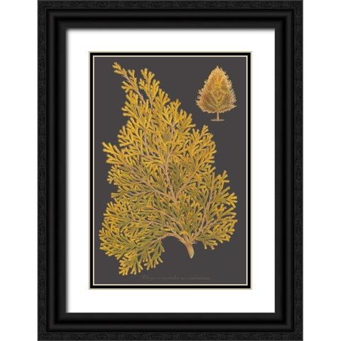 Trees and Leaves III Black Ornate Wood Framed Art Print with Double Matting by Vision Studio