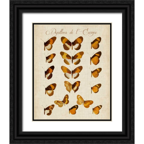 Papillons de LEurope I Black Ornate Wood Framed Art Print with Double Matting by Vision Studio