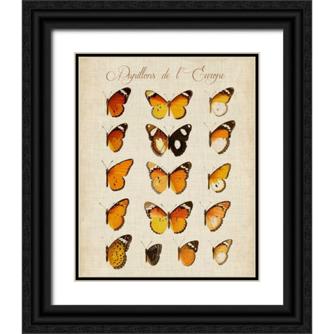 Papillons de LEurope II Black Ornate Wood Framed Art Print with Double Matting by Vision Studio