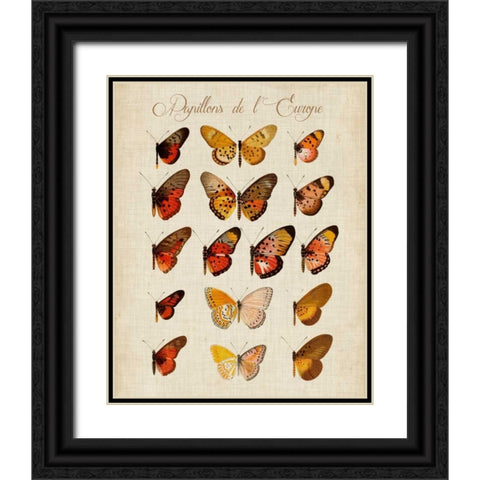 Papillons de LEurope III Black Ornate Wood Framed Art Print with Double Matting by Vision Studio