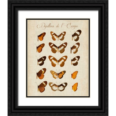 Papillons de LEurope IV Black Ornate Wood Framed Art Print with Double Matting by Vision Studio