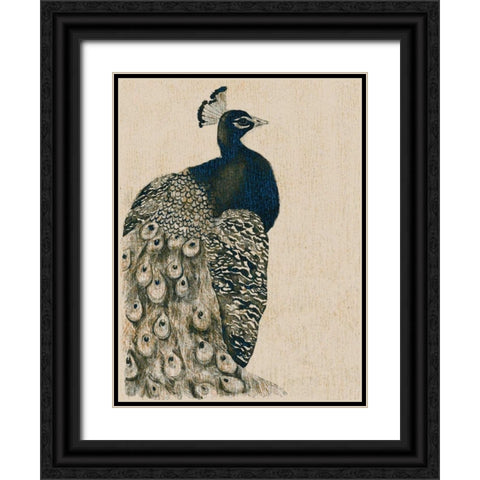 Textured Peacock I Black Ornate Wood Framed Art Print with Double Matting by Popp, Grace