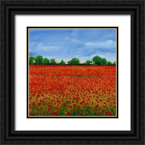 Field of Poppies I Black Ornate Wood Framed Art Print with Double Matting by OToole, Tim