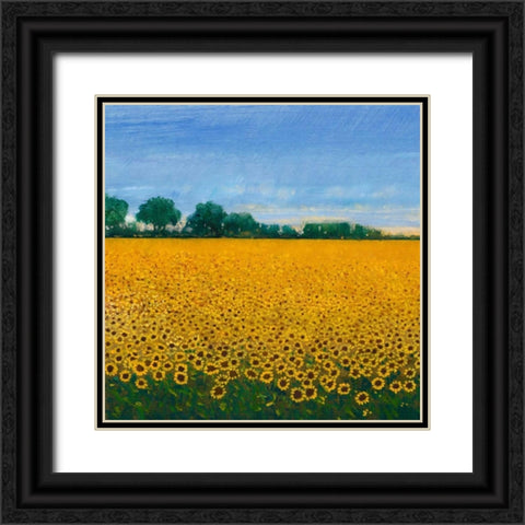 Field of Sunflowers I Black Ornate Wood Framed Art Print with Double Matting by OToole, Tim