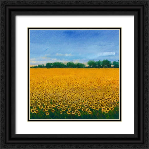 Field of Sunflowers II Black Ornate Wood Framed Art Print with Double Matting by OToole, Tim