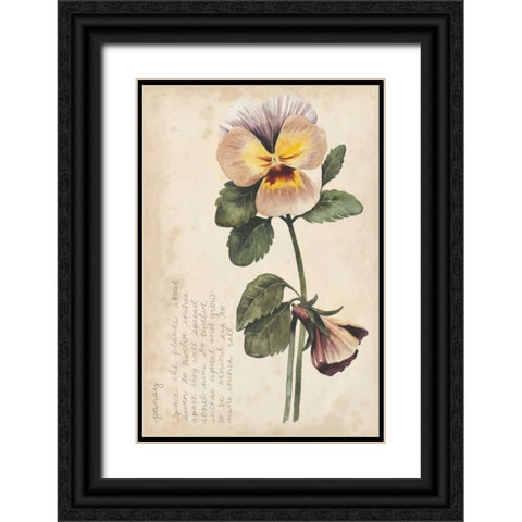 Garden Studies I Black Ornate Wood Framed Art Print with Double Matting by Popp, Grace