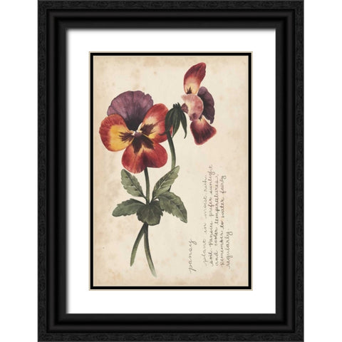 Garden Studies II Black Ornate Wood Framed Art Print with Double Matting by Popp, Grace