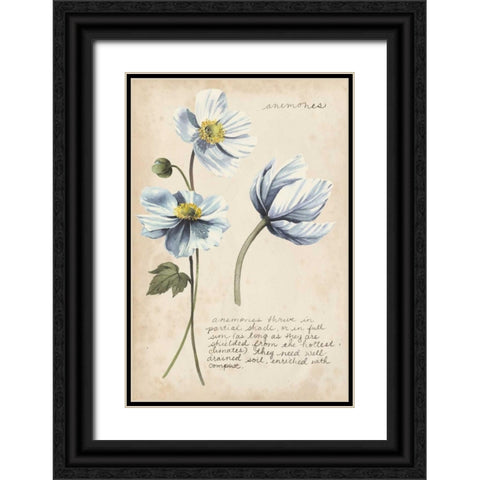Garden Studies III Black Ornate Wood Framed Art Print with Double Matting by Popp, Grace