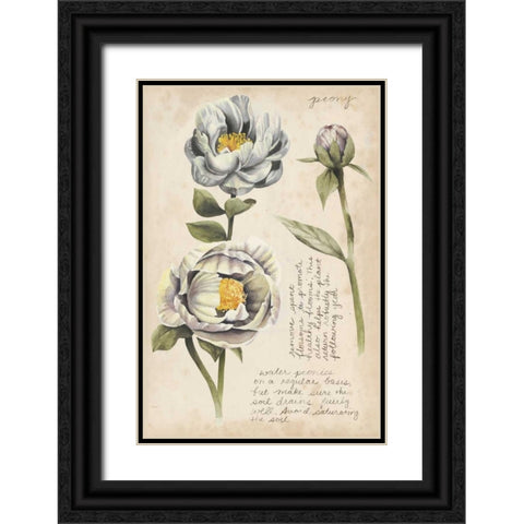 Garden Studies IV Black Ornate Wood Framed Art Print with Double Matting by Popp, Grace