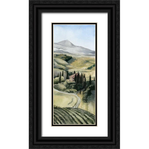 Watercolor Tuscany I Black Ornate Wood Framed Art Print with Double Matting by Popp, Grace