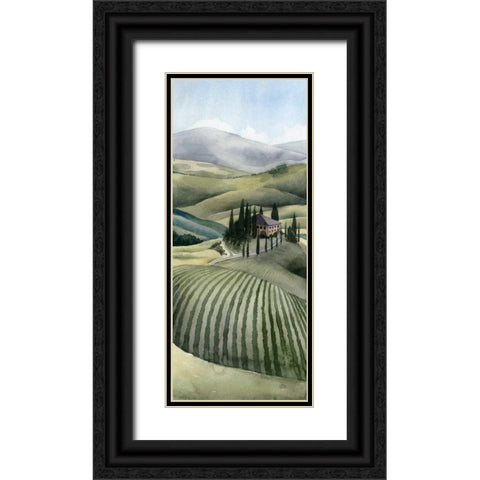 Watercolor Tuscany II Black Ornate Wood Framed Art Print with Double Matting by Popp, Grace