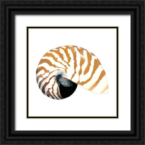 Seashore Souvenirs III Black Ornate Wood Framed Art Print with Double Matting by McCavitt, Naomi