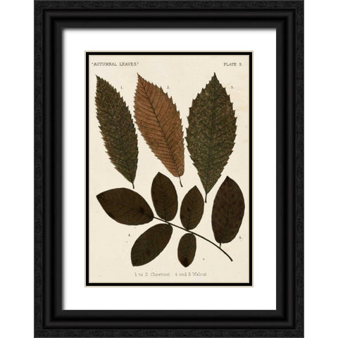 Autumnal Leaves I Black Ornate Wood Framed Art Print with Double Matting by Vision Studio