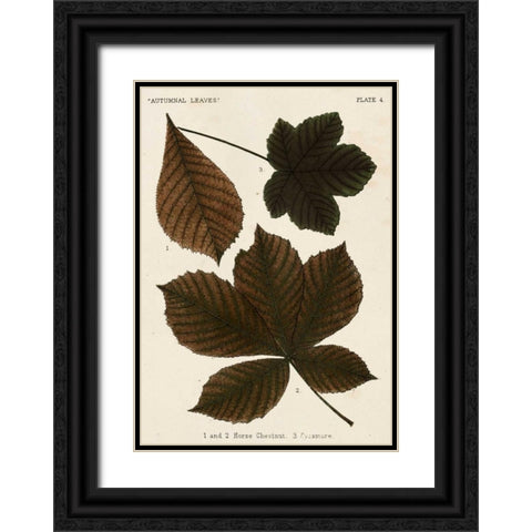 Autumnal Leaves III Black Ornate Wood Framed Art Print with Double Matting by Vision Studio