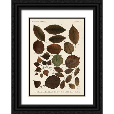 Autumnal Leaves VI Black Ornate Wood Framed Art Print with Double Matting by Vision Studio