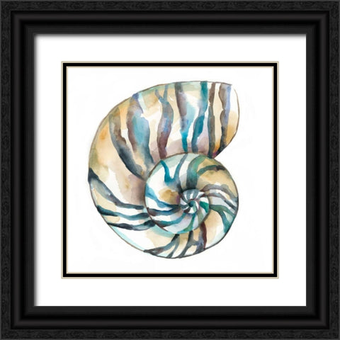 Aquarelle Shells II Black Ornate Wood Framed Art Print with Double Matting by Zarris, Chariklia