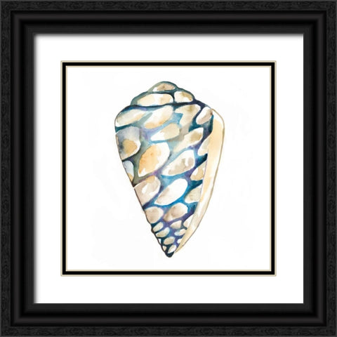 Aquarelle Shells III Black Ornate Wood Framed Art Print with Double Matting by Zarris, Chariklia