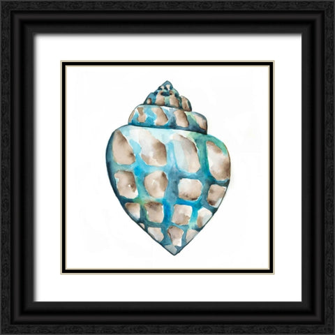 Aquarelle Shells V Black Ornate Wood Framed Art Print with Double Matting by Zarris, Chariklia