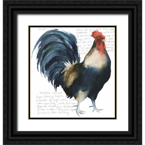 Roosters Crow I Black Ornate Wood Framed Art Print with Double Matting by Popp, Grace