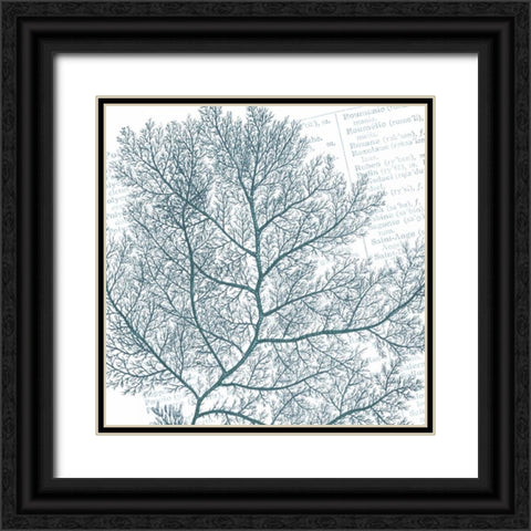 Aqua Marine II Black Ornate Wood Framed Art Print with Double Matting by Hambly, Anna