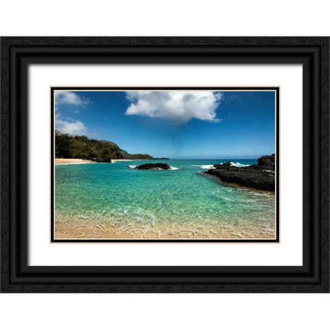 Paradise Black Ornate Wood Framed Art Print with Double Matting by Head, Danny