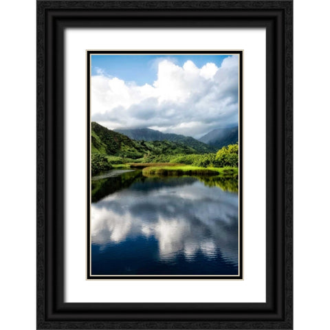 Cloud Reflections II Black Ornate Wood Framed Art Print with Double Matting by Head, Danny