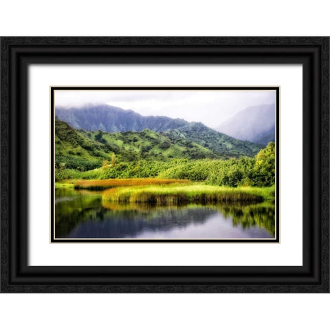 Coastal Marsh II Black Ornate Wood Framed Art Print with Double Matting by Head, Danny