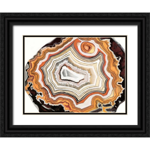 Agate Studies IV Black Ornate Wood Framed Art Print with Double Matting by McCavitt, Naomi
