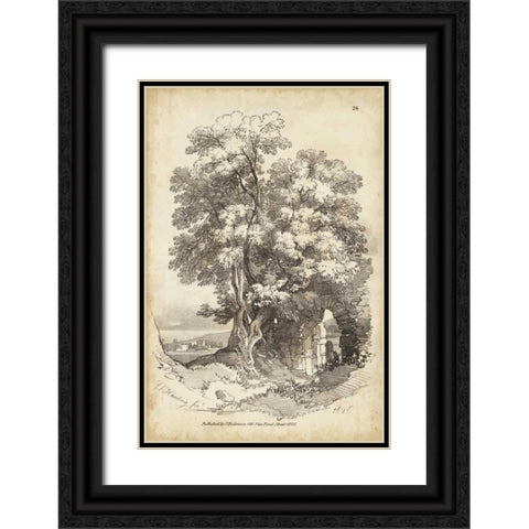 Noble Tree II Black Ornate Wood Framed Art Print with Double Matting by Harding, J.D.