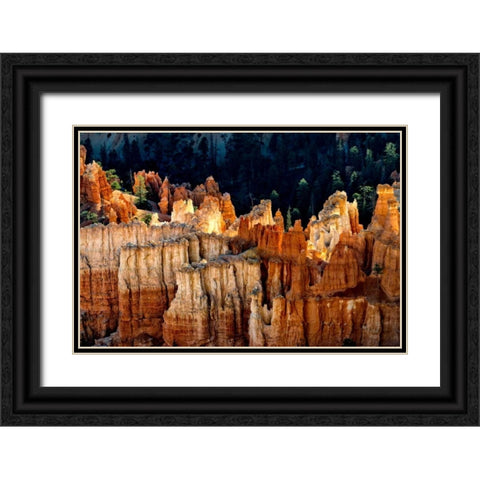 Sun Bath I Black Ornate Wood Framed Art Print with Double Matting by Head, Danny