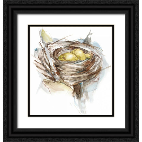 Bird Nest Study III Black Ornate Wood Framed Art Print with Double Matting by Harper, Ethan