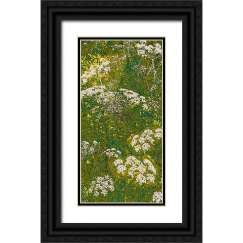 Scattered Lace Panel I Black Ornate Wood Framed Art Print with Double Matting by Burghardt, James