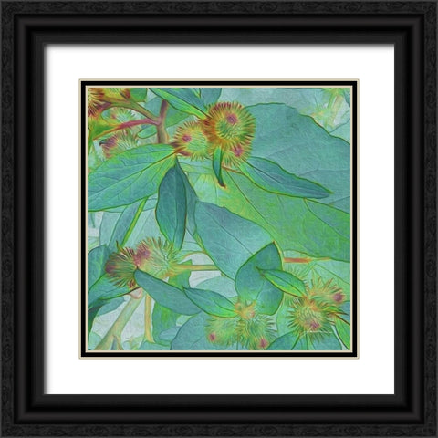 Prickley Tiles I Black Ornate Wood Framed Art Print with Double Matting by Burghardt, James