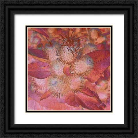 Prickley Tiles III Black Ornate Wood Framed Art Print with Double Matting by Burghardt, James