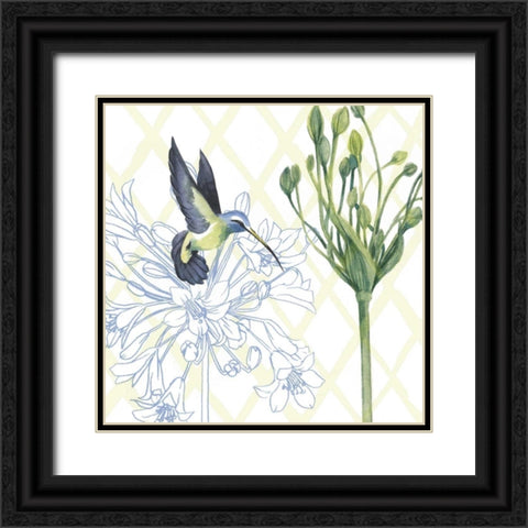 Hummingbird Dance III Black Ornate Wood Framed Art Print with Double Matting by Popp, Grace