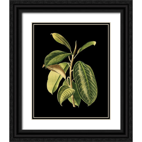 Custom Green Leaves on Black I (LG) Black Ornate Wood Framed Art Print with Double Matting by Vision Studio