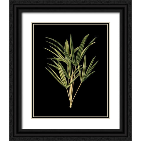 Custom Green Leaves on Black II (LG) Black Ornate Wood Framed Art Print with Double Matting by Vision Studio