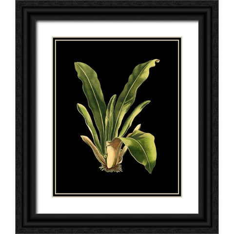 Custom Green Leaves on Black III (LG) Black Ornate Wood Framed Art Print with Double Matting by Vision Studio