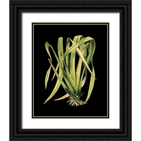 Custom Green Leaves on Black IV (LG) Black Ornate Wood Framed Art Print with Double Matting by Vision Studio