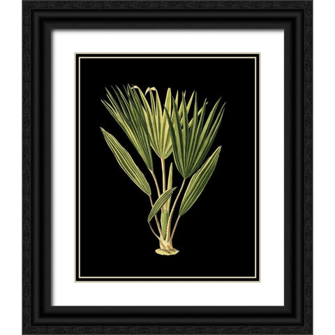 Custom Green Leaves on Black V (LG) Black Ornate Wood Framed Art Print with Double Matting by Vision Studio