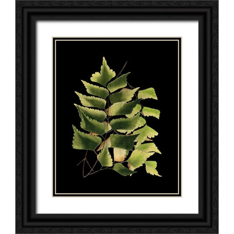 Custom Green Leaves on Black VI (LG) Black Ornate Wood Framed Art Print with Double Matting by Vision Studio