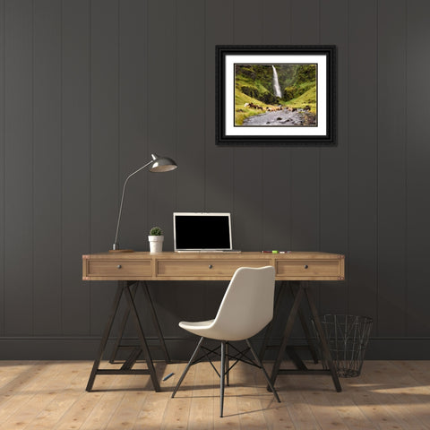 Waterfall Horses II Black Ornate Wood Framed Art Print with Double Matting by Burchett, P.H.