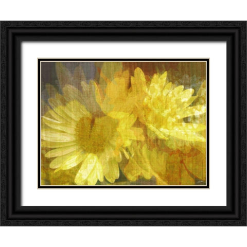 Daisy Daisy II Black Ornate Wood Framed Art Print with Double Matting by Butler, John