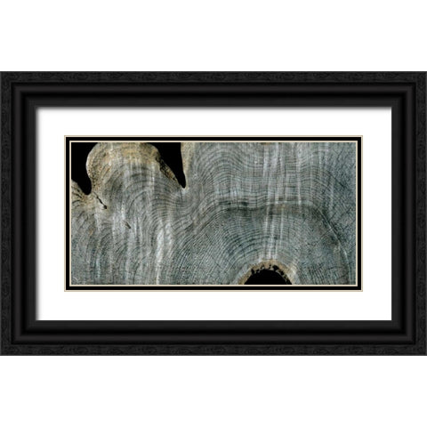 Gray Ghost I Black Ornate Wood Framed Art Print with Double Matting by Butler, John