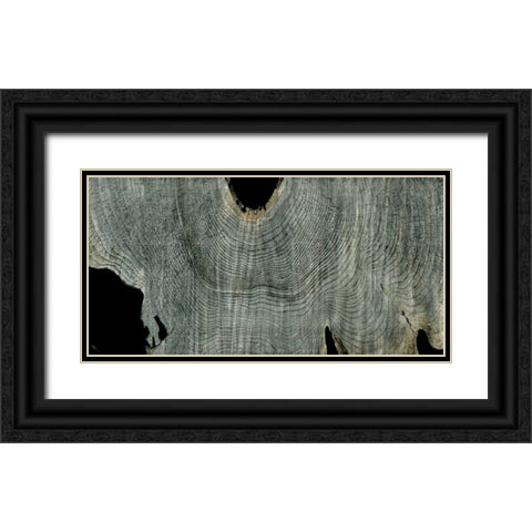 Gray Ghost II Black Ornate Wood Framed Art Print with Double Matting by Butler, John